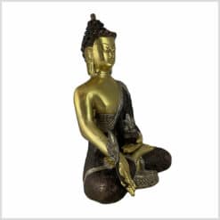 Medizin Buddha Dragon Tricoulore 2402g 23,3cm rechts